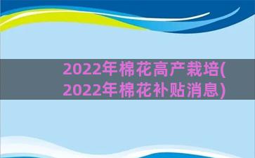 2022年棉花高产栽培(2022年棉花补贴消息)