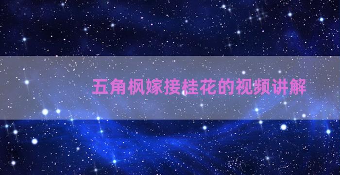 五角枫嫁接桂花的视频讲解