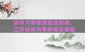 徐州月季嫁接最佳时间，江苏徐州月季种植在哪里