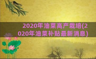 2020年油菜高产栽培(2020年油菜补贴最新消息)