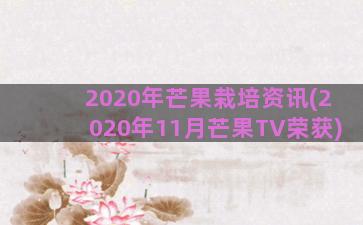 2020年芒果栽培资讯(2020年11月芒果TV荣获)