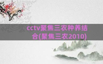 cctv聚焦三农种养结合(聚焦三农2010)