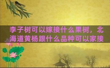 李子树可以嫁接什么果树，北海道黄杨跟什么品种可以家接