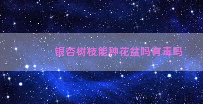 银杏树枝能种花盆吗有毒吗